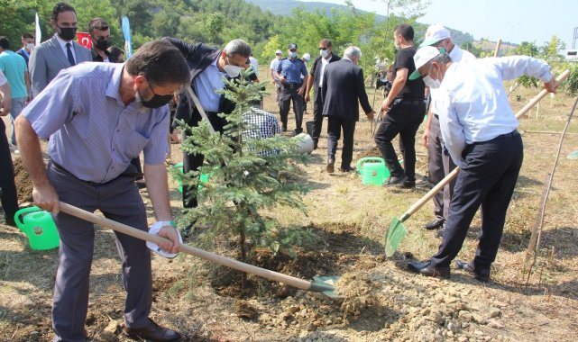 Sinop'ta 15 Temmuz şehitleri anısına 251 fidan dikildi