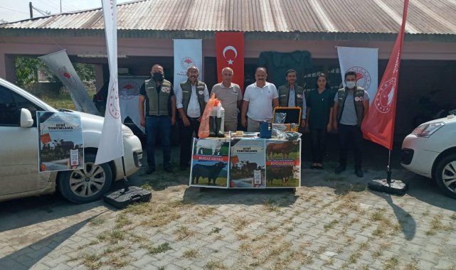 Suni tohumlama projesi hayata geçirildi