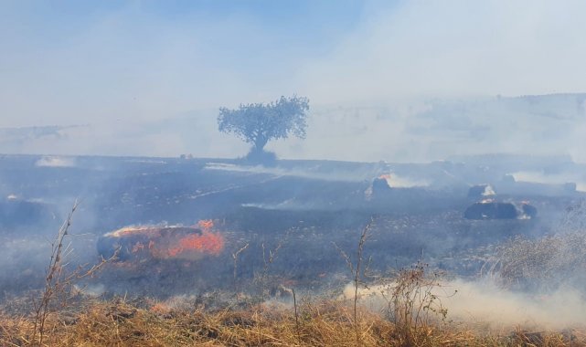 Susurluk'ta 100 dönüm arazi ve 350 saman balyası yandı