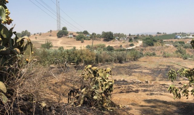 Tarsus&#039;ta bahçedeki yangında 43 ağaç zarar gördü