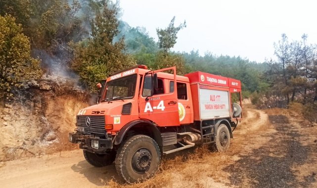 Taşova Orman İşletme Kadirli&#039;de