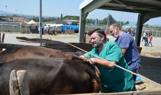 Tavşanlı Kurban pazarında denetim