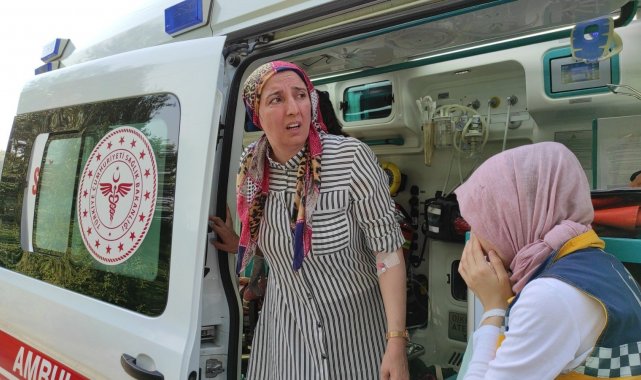 TEM&#039;de kontrolden çıkan otomobil ağaçlık alana uçtu: 3 yaralı