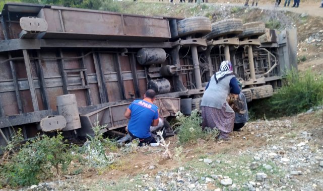 Tır şarampole devrildi: 3 kişi yaralandı, 160 küçükbaş hayvan telef oldu