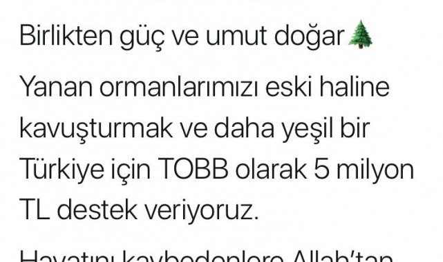 TOBB yanan ormanlar için 5 milyon TL yardımda bulunacak