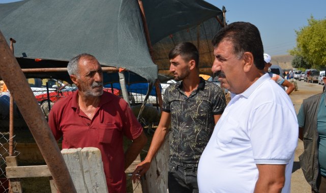 TUDKİYEB Başkanı Çelik: "Küçükbaş kurbanın karkas ağırlığı en az 22 kg olmalı"