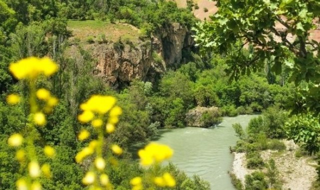 Tunceli Valiliği orman yangınlarına karşı uyardı