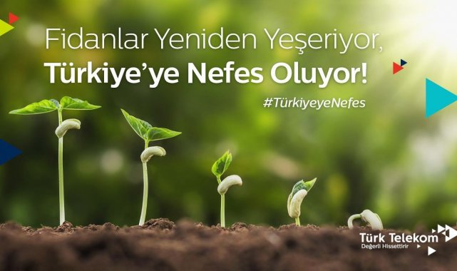 Türk Telekom'dan 100 bin fidan