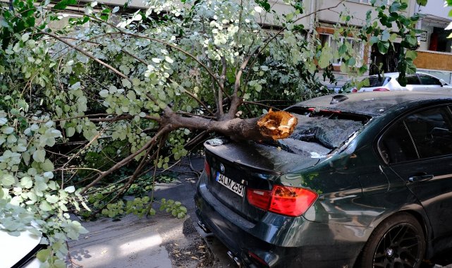 Ünlü oyuncunun lüks aracının üzerine ağaç devrildi