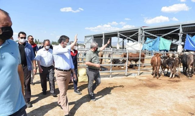 Vali Çiftçi ve Başkan Aşgın&#039;dan hayvan pazarında inceleme
