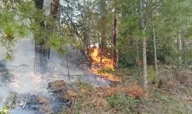 Vatandaşların dikkati orman yangınının önüne geçti