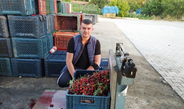 Vişneye verilen 2,5 TL fiyat üreticiyi memnun etmedi