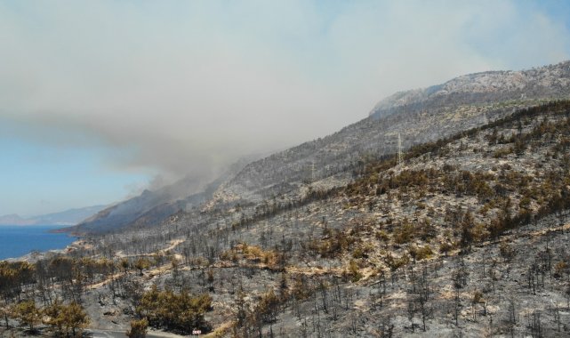 Yanan bölgeler drone ile havadan görüntülendi