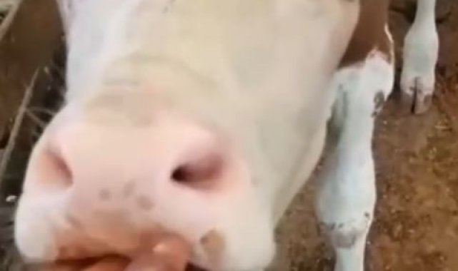 Yangın anında yaşadıklarını gözyaşları içerisinde anlattı, sözleri yürekleri burktu