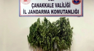 Yenice’de uyuşturucu operasyonu: 1 gözaltı