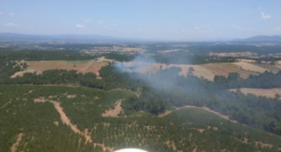 Yenioba'da orman yangını