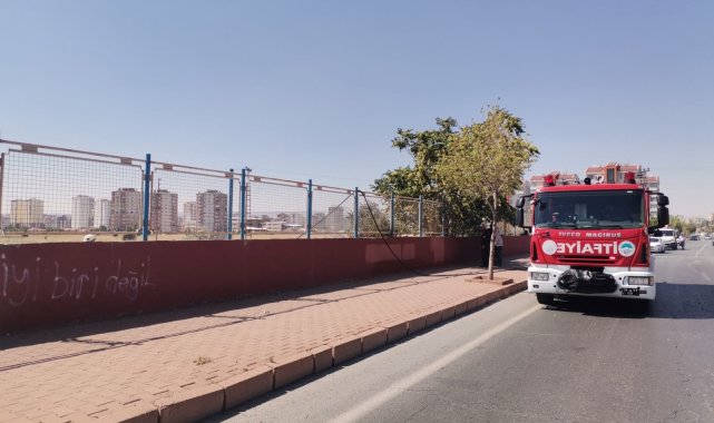 Yüksek gerilim hattına konan kargalar yangına neden oldu