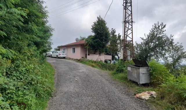 Yuva: "Sakatatlar toprağa gömülüp üzerine kireç dökülmeli"