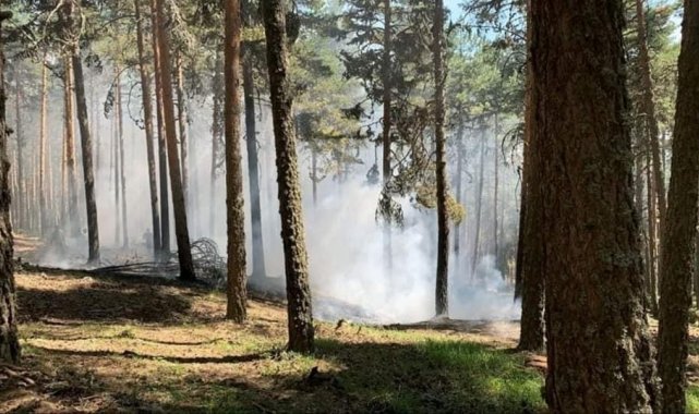 Zamanında müdahaleyle büyümeden söndürüldü