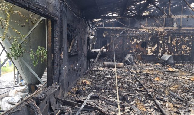 Zonguldak&#039;ta 12 bin hindi yavrusu yangında telef olurken, bir otomobil kullanılamaz hale geldi