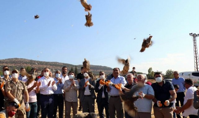32 köyde 900 adet kınalı keklik doğaya bırakıldı