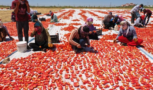 &#039;Akça kadınlar&#039; hem üretiyor hem ihraç ediyor