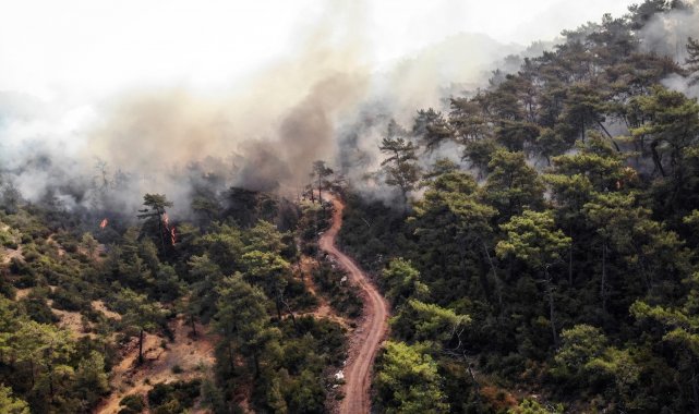 Acı tablo havadan görüntülendi, her yeri kaplayan dumanlar yürekleri dağlıyor