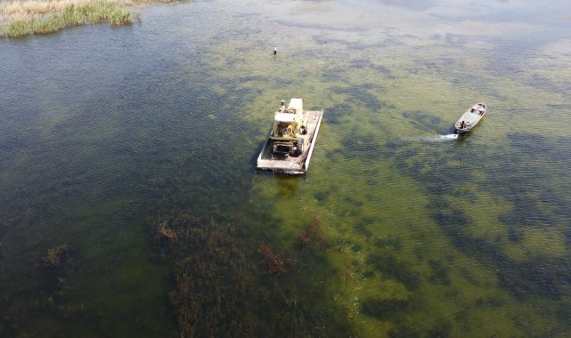 Adada kullanılan biçerdöverler dubalarla suda yüzdürülüp kıyıya taşındı