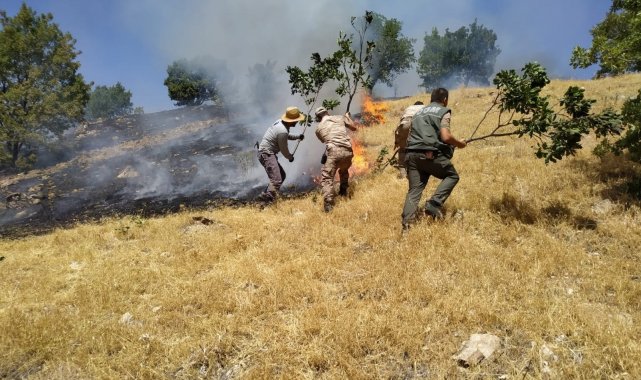 Adıyaman&#039;da örtü yangını