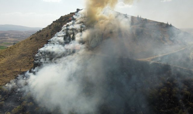 Afyonkarahisar&#039;da orman yangını