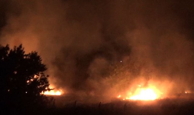 Ağaçlık alanda çıkan yangın kontrol altına alındı