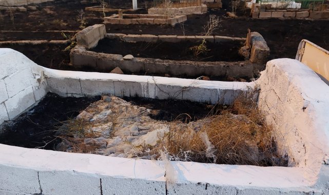 Ağrı&#039;da mezarlıkta çıkan yangın paniğe neden oldu