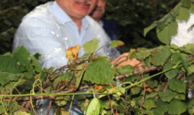 AK Parti Giresun Milletvekili Kadir Aydın: &quot;Üreticinin beklediği fiyat açıklandı&quot;