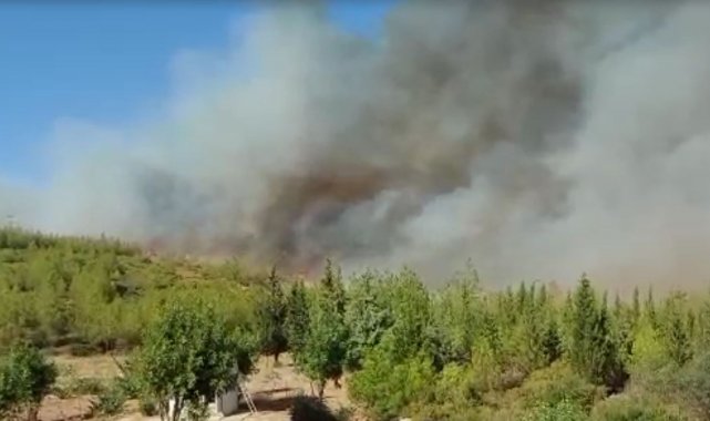 Alevler, Bodrum&#039;un son kalesi Kisebükü&#039;ye ulaştı