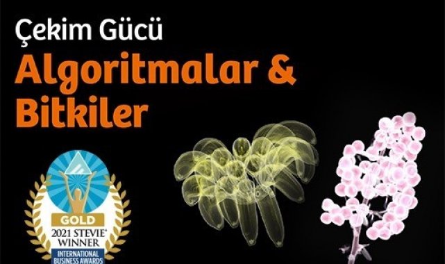Algoritmalar ve Bitkiler Sergisi, Stevie Uluslararası İş Ödülleri&#039;nde altın ödül kazandı