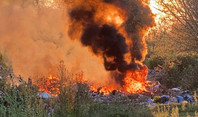 Anız yangını ormana sıçramadan söndürüldü