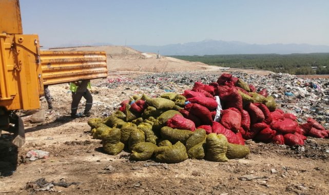 Antalya&#039;da 4 ton kaçak midye ele geçirildi