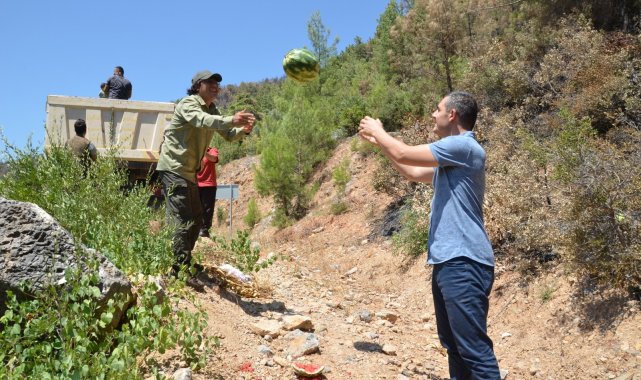 Antalya&#039;da yangından etkilenen yaban hayatı unutulmadı