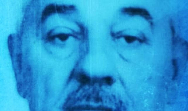 Armut ağacından düşüp öldü