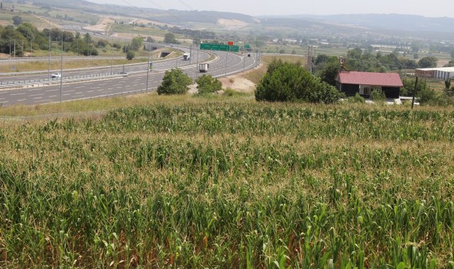 Arsa fiyatları 5 bin liraydı, bir yol yapıldı 500 bin liraya uçtu