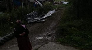 Artvin'de hortum evlerin ve ahırların çatısını uçurdu