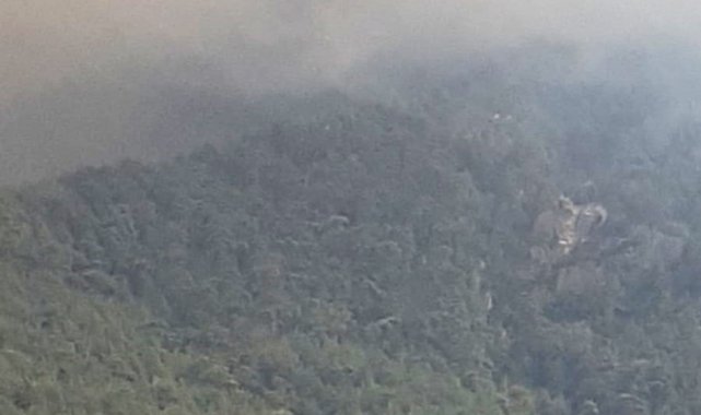 Aydın Çine&#039;de yangın