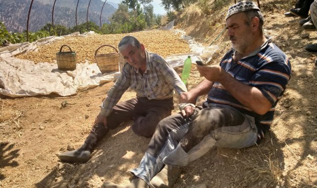 Aydınlı çiftçiler şok yaşadı, yakaladıkları hırsız çiftçilerden önce evine varıp yattı