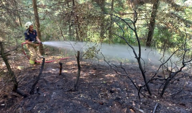 Aydos Ormanı'nda küçük çaplı yangın çıktı