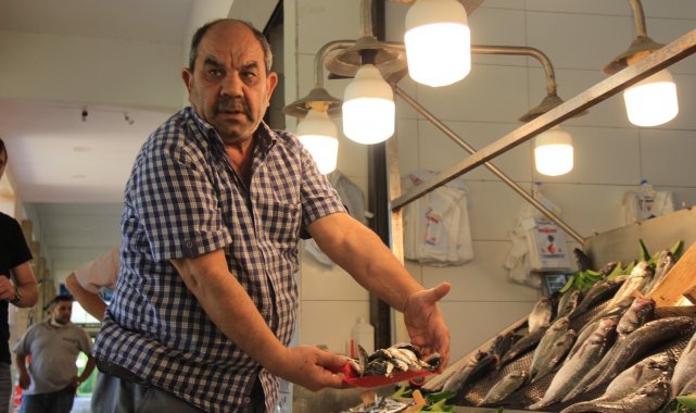 Balık avı sezonu öncesi fiyatlar normal seyrediyor