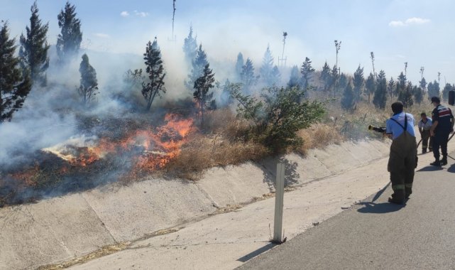 Bandırma&#039;da yol kenarında yangın
