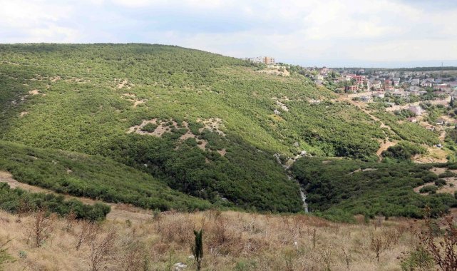 Başkan Büyükakın: &quot;Dilovası hastane yolu için viyadük yapıyoruz&quot;