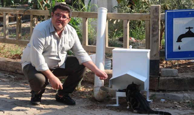 Başkan Kökten&#039;den sokak hayvanları için örnek proje