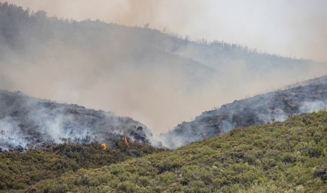 Başkan Soyer&#039;den yangın mağdurlarına ziyaret