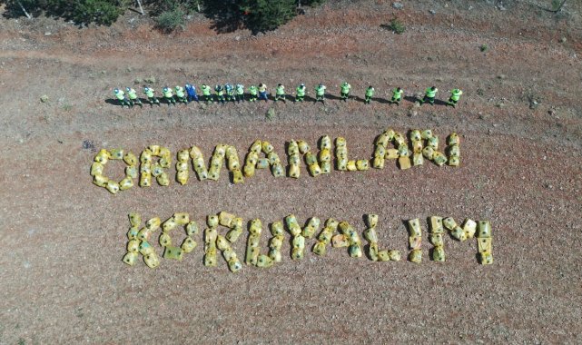 Başkent'te ormanlara bakım çalışması